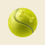 Tennis ball for dogs
